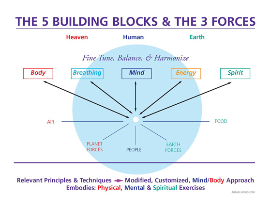 The 5 Building Blocks & The 3 Forces